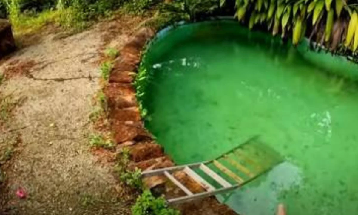 mansão do clodovil abandonada litoral de são paulo