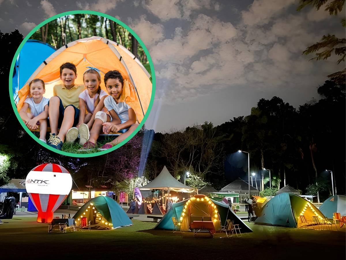 Meu Teto de Estrelas Parque Burle Marx