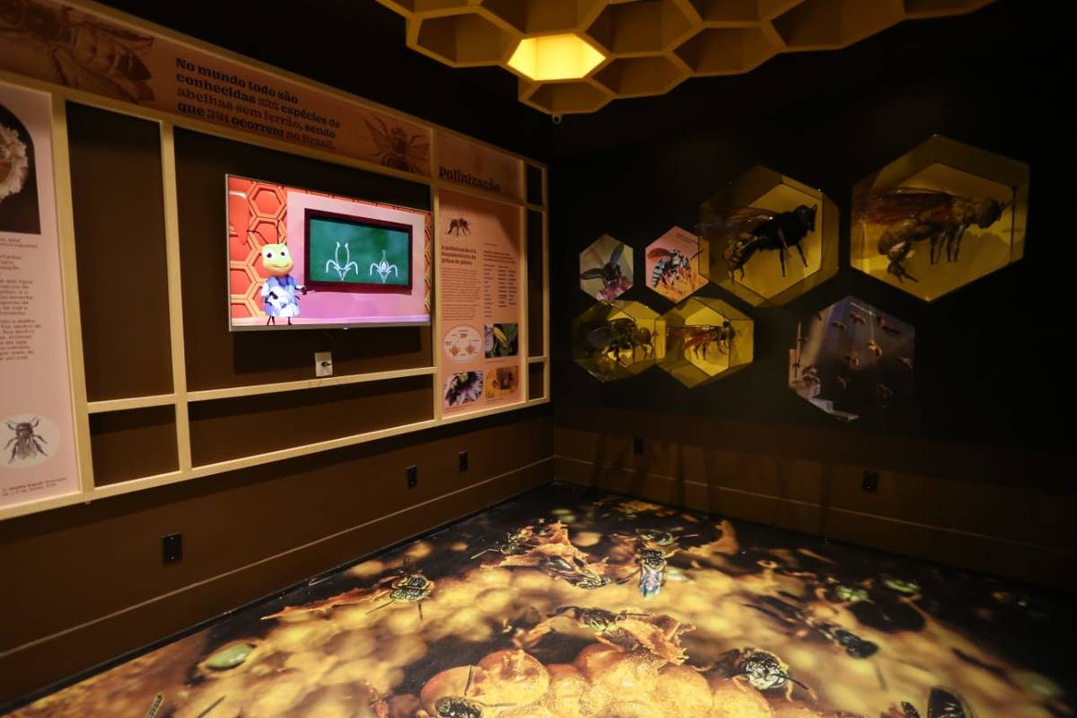 planeta inseto museu de insetos instituto biológico são paulo