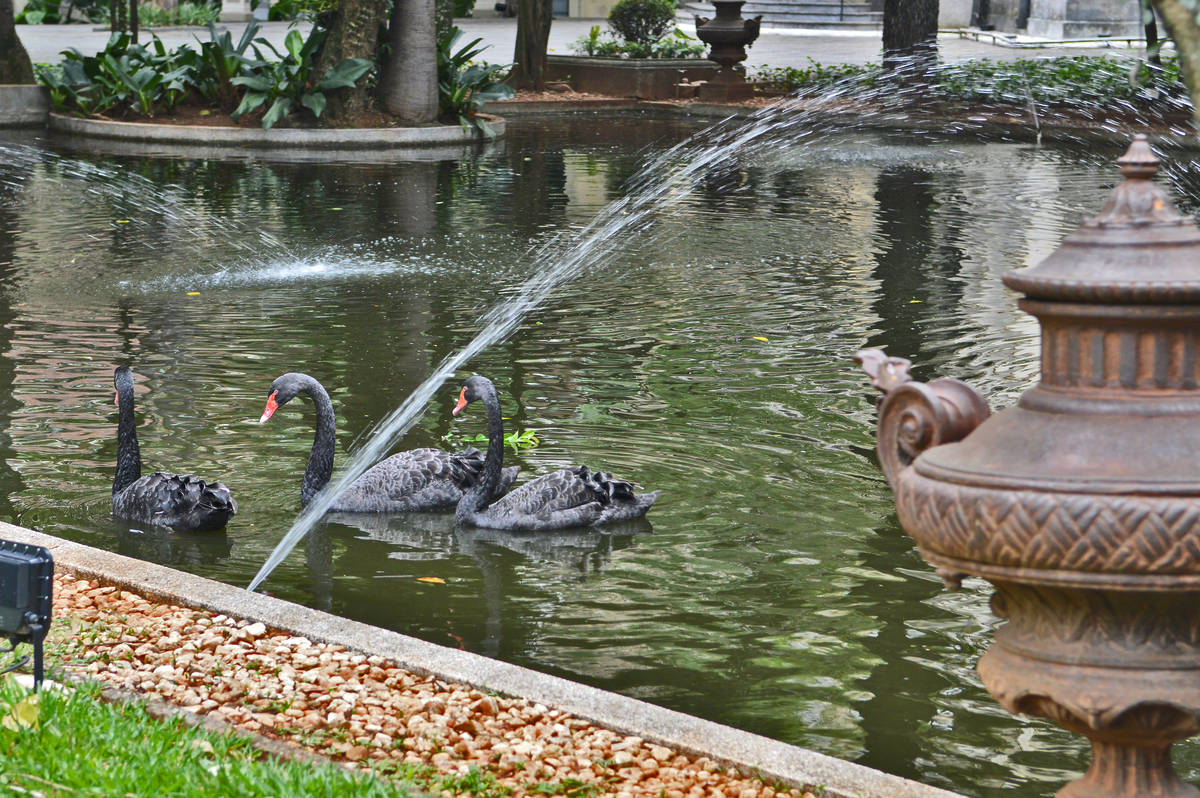 Palacete Veridiana da Silva Prado