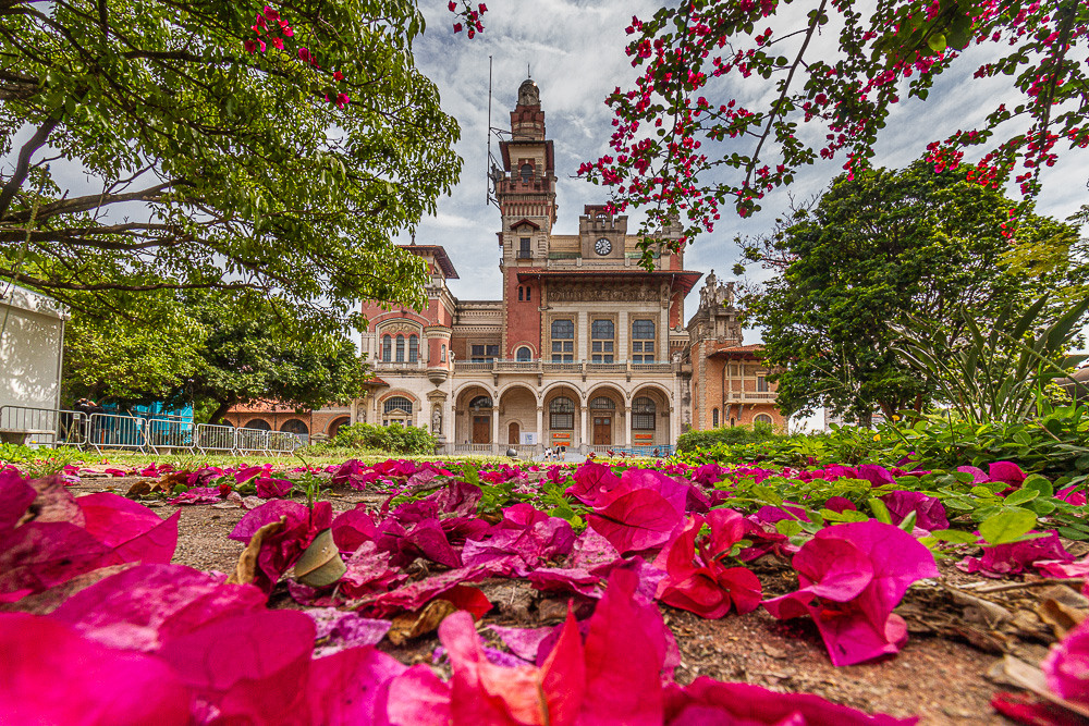 uma noite no museu catavento halloween