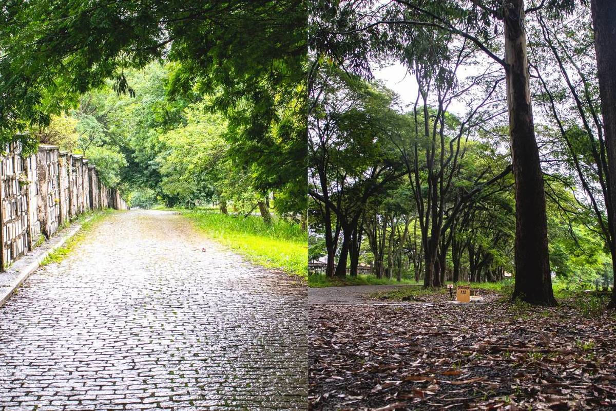 cemitério da vila formosa maior da américa latina zona leste são paulo