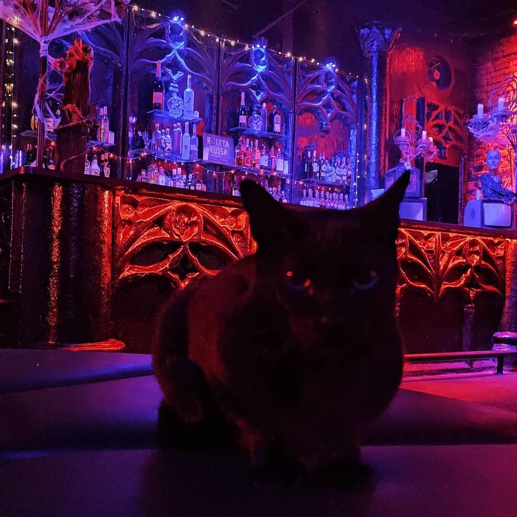 El bar «Madame», la discoteca más antigua de São Paulo