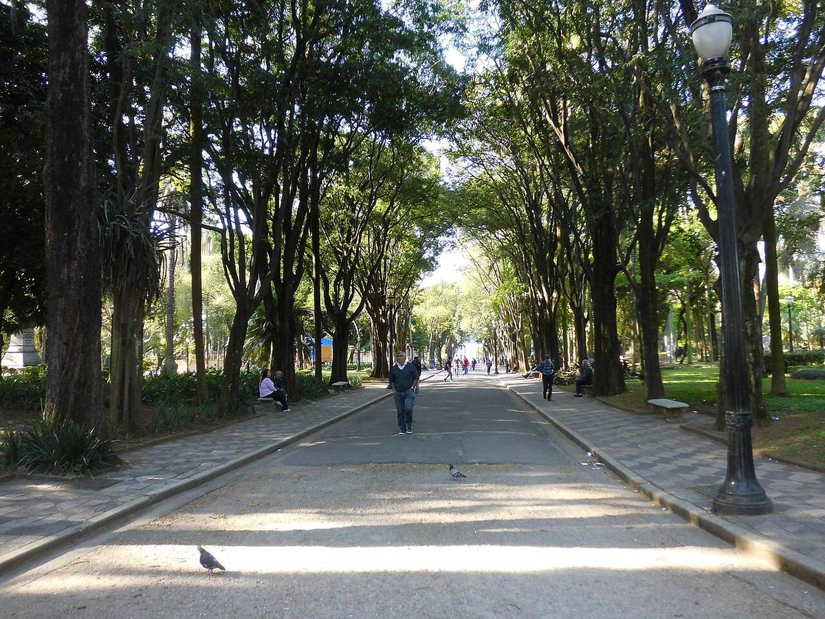 jardim da luz parque mais antigo são paulo centro histórico