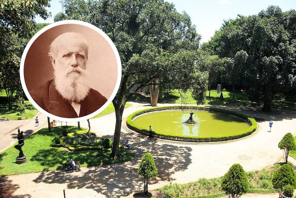 jaridm da luz parque mais antigo são paulo