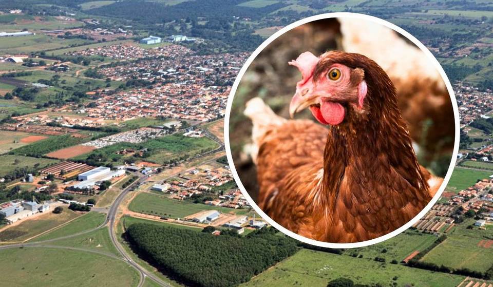 This town in the interior of São Paulo has more chickens than people: Capital do Ovo has a Japanese garden and miniature Mount Fuji