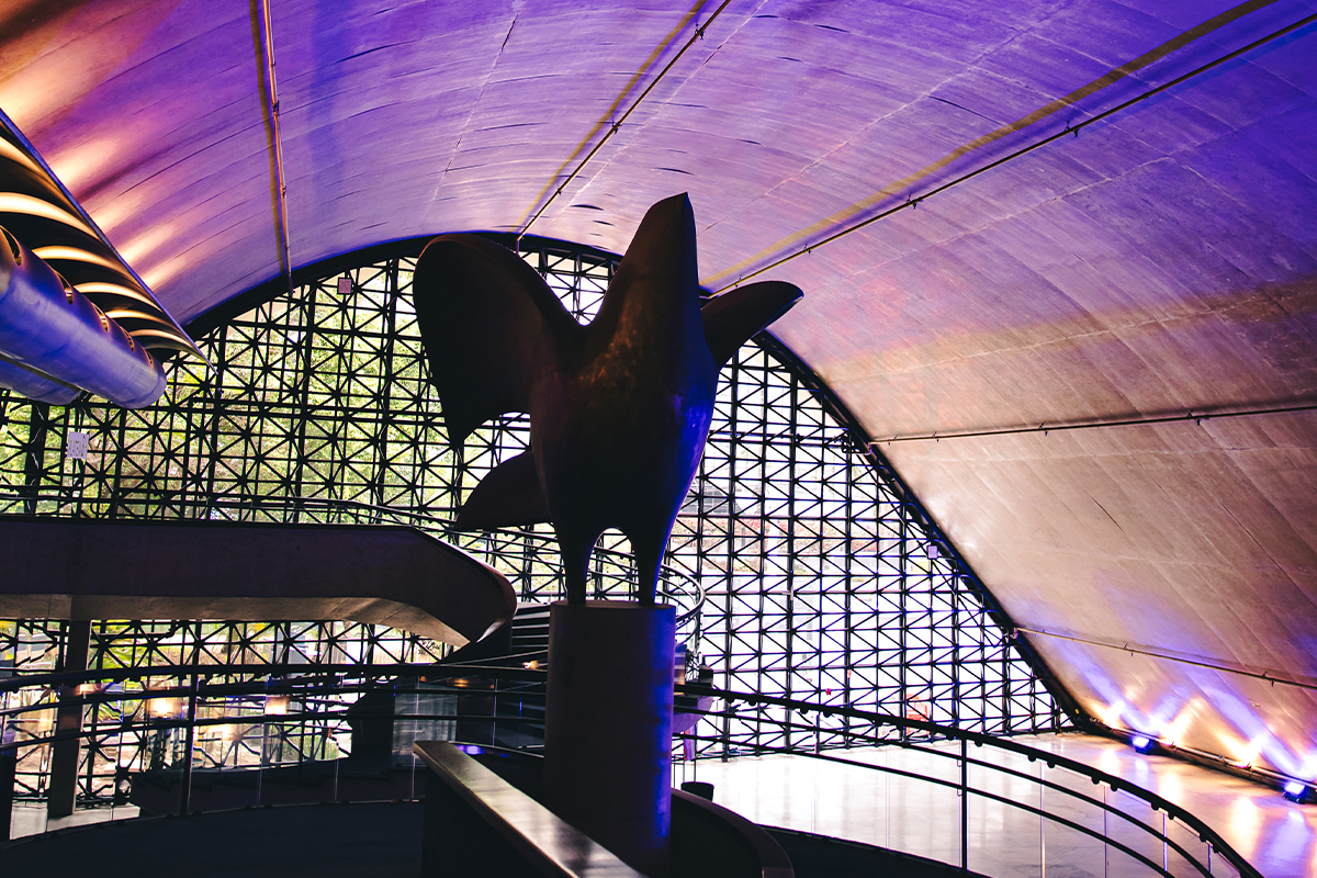 Coala Apresenta noites no memorial ingressos