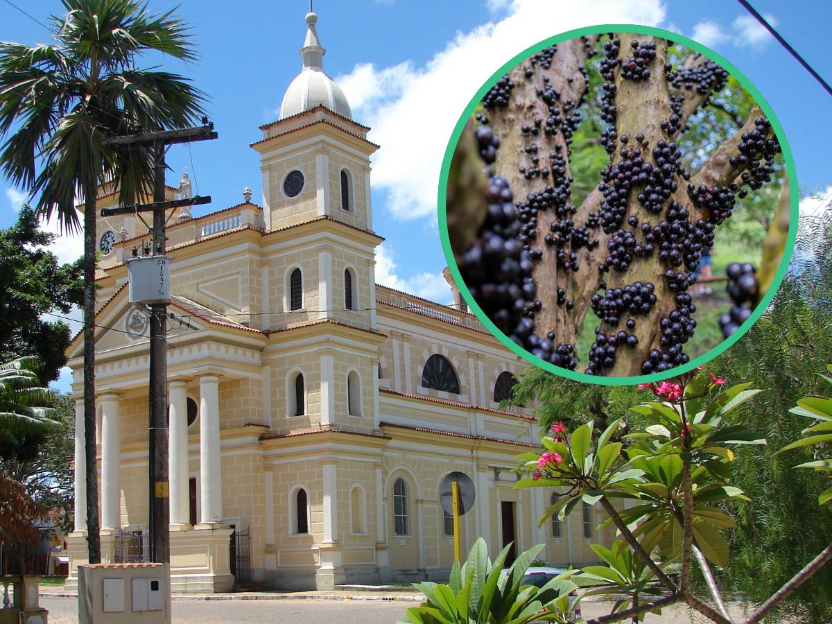 Casa Branca SP Capital da Jabuticaba