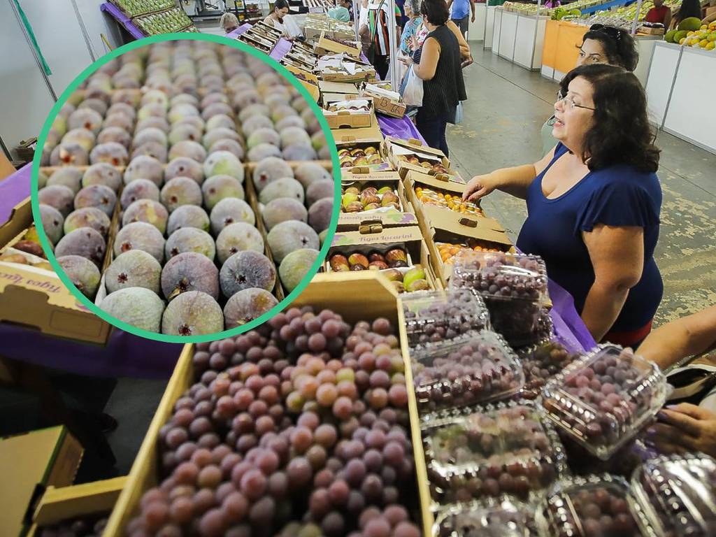 valinhos capital of the purple fig