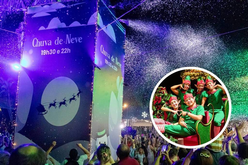 christmas in holambra expoflora inland city of flowers são paulo