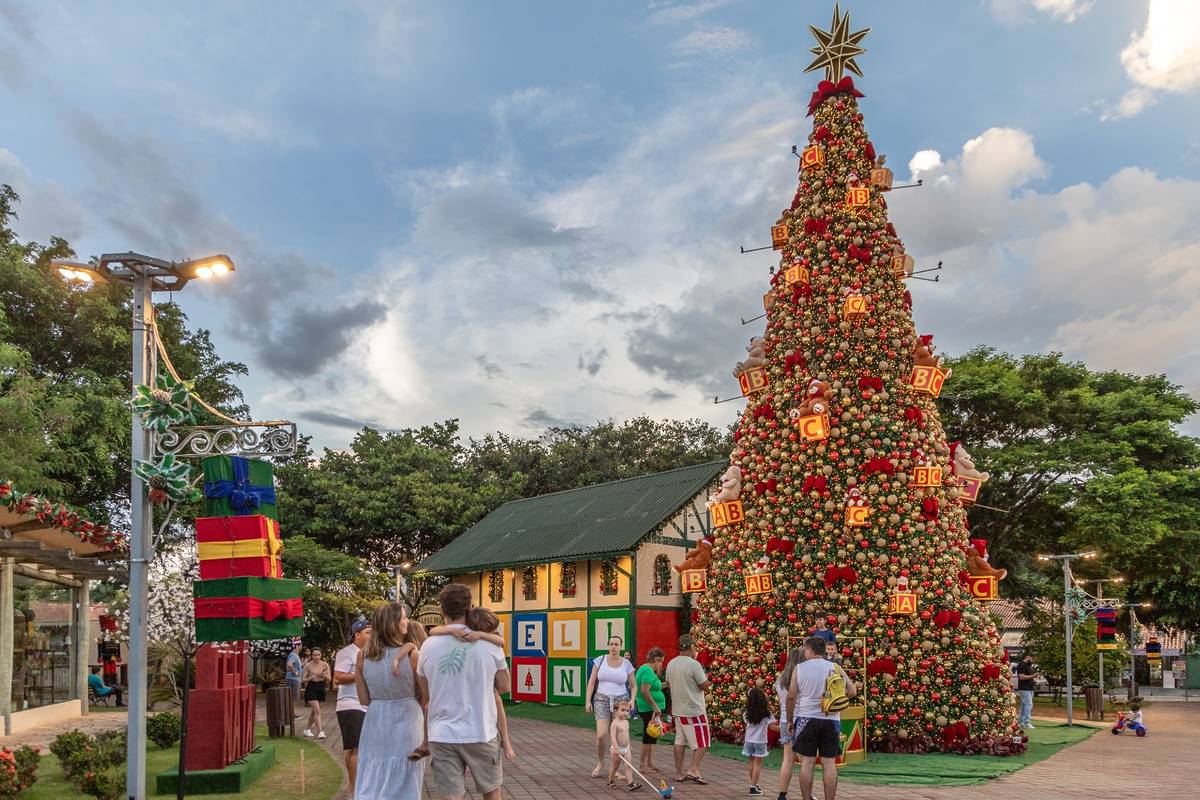cidade natal em guararema são paulo