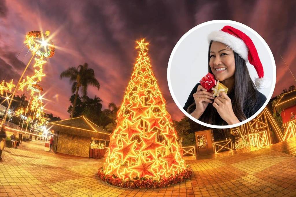 ciudad natal en guararema são paulo