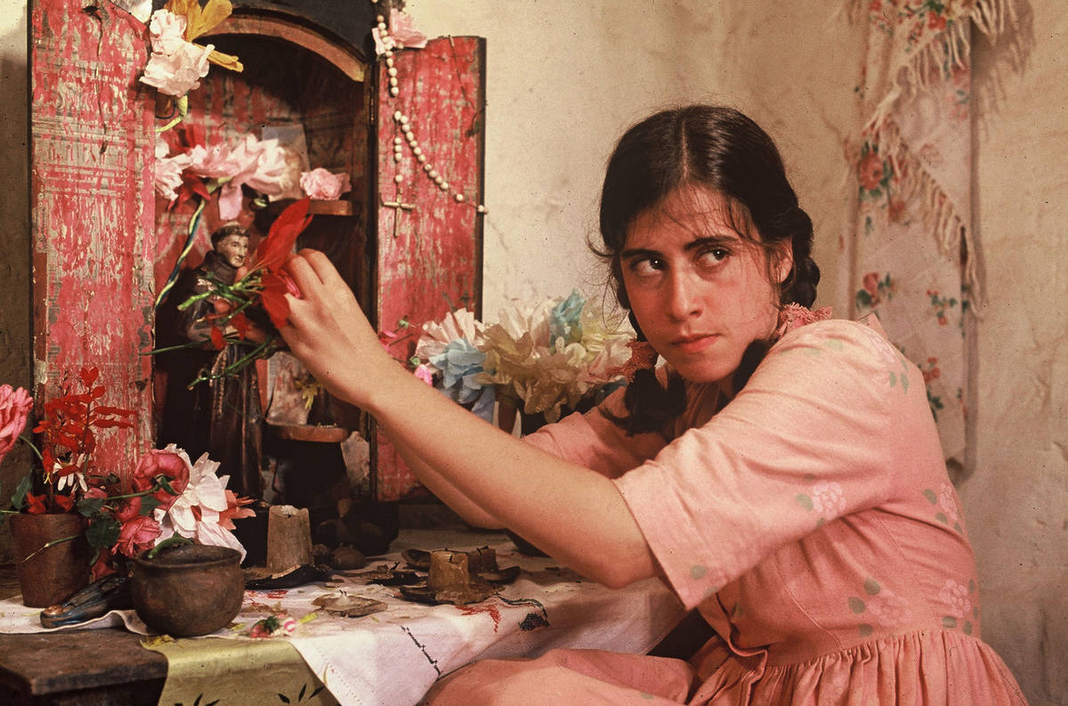 são paulo food film fest