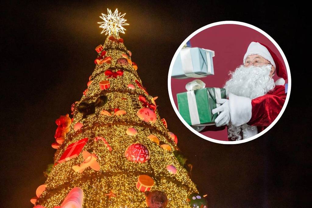 árvore de natal do parque villa lobos são paulo