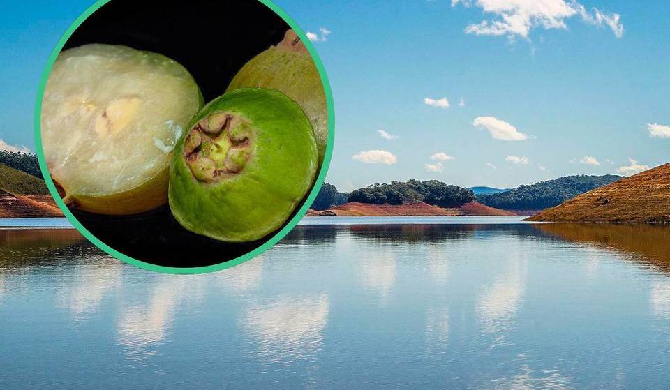 Entre montanhas e rios, a “Capital do Cambuci” fica a 2h30 de SP e revela segredos do ecoturismo no interior paulista