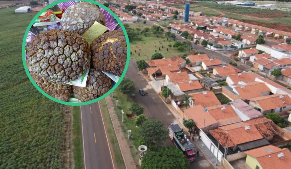 This enchanting refuge in the interior of São Paulo hides a rare fruit: with natural landscapes and waterfalls perfect for slowing down