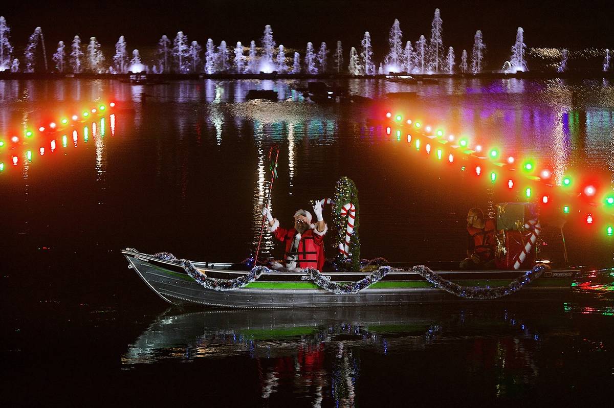 árvore de natal do parque ibirapuera maior de são paulo