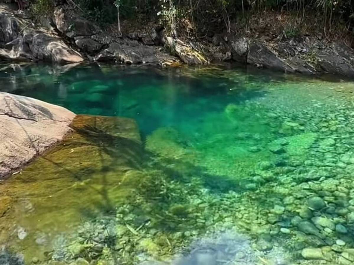 Lavrinhas Chapada dos Veadeiros Paulista