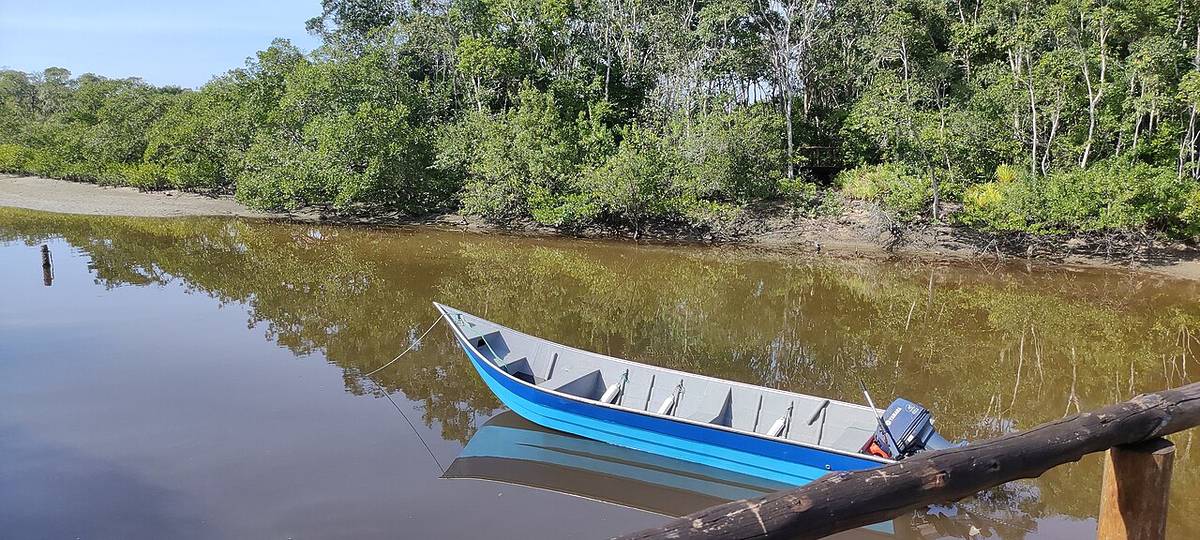 o que fazer em cananeia melhor destino ecológico do mundo são paulo