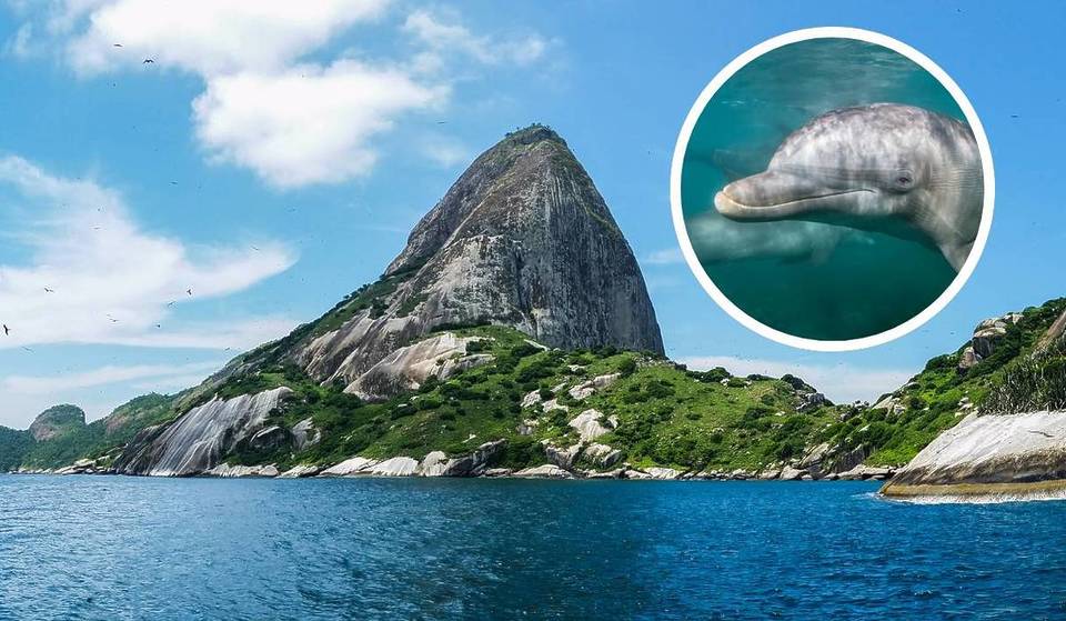 Esqueça o Caribe: o arquipélago “secreto” no litoral de SP onde é proibido pisar em terra firme — mas que oferece o mergulho mais incrível do estado