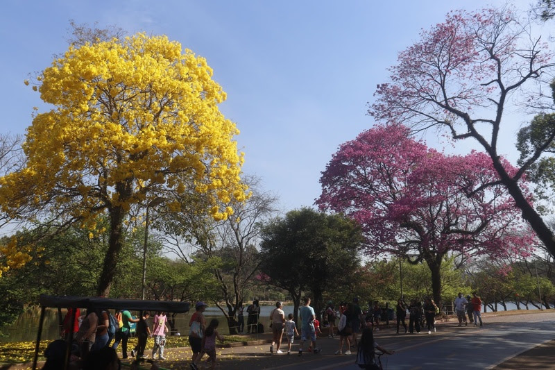 parque ibirapuera programação férias são paulo
