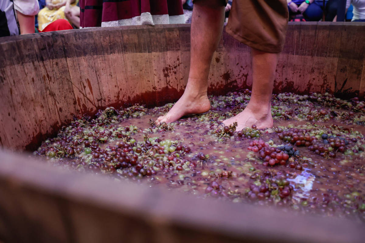 festa da uva em jundiaí 2026 são paulo