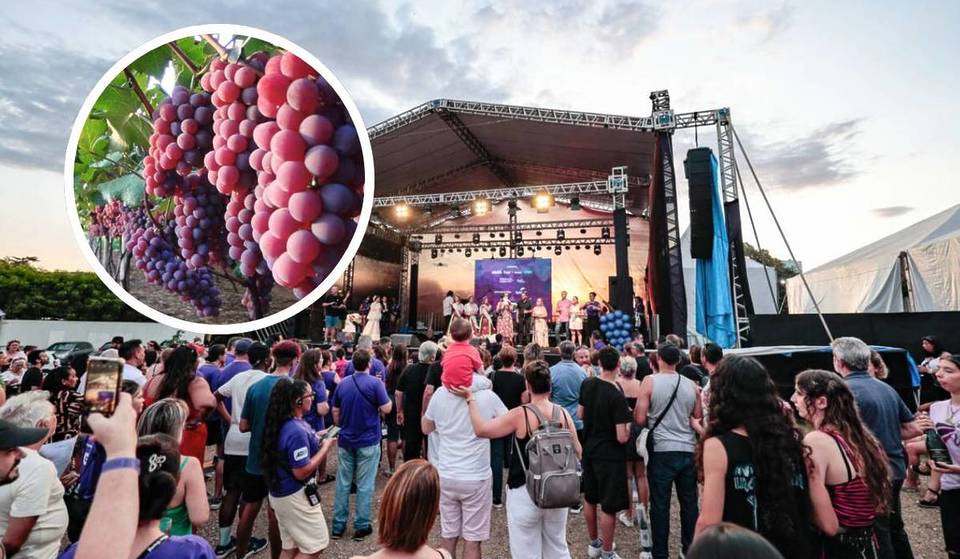 Only in January and February: the traditional wine and gastronomy festival 1 hour from São Paulo is back with free attractions for the whole family