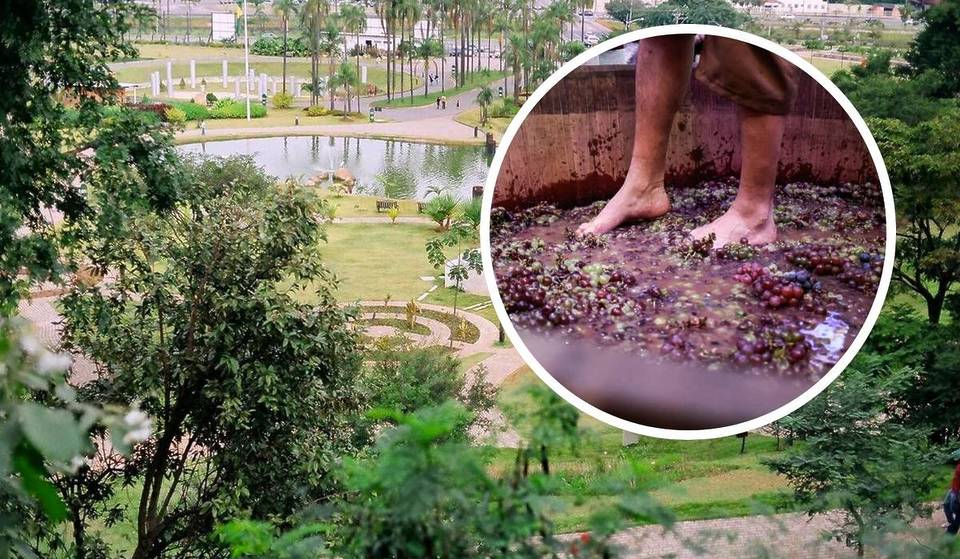 Olvídese de São Roque: la auténtica «Tierra de la Uva» está a 1 hora de São Paulo y todos los años celebra una fiesta del vino gratuita.