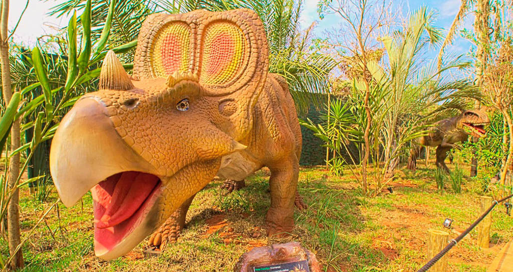 parque temático Olímpia orlando brasileira interior são paulo