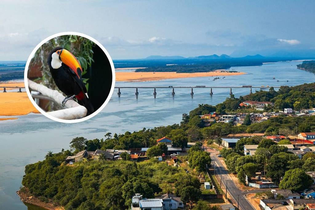 Voos mais longo do Brasil, de São Paulo a Boa vista Roraima