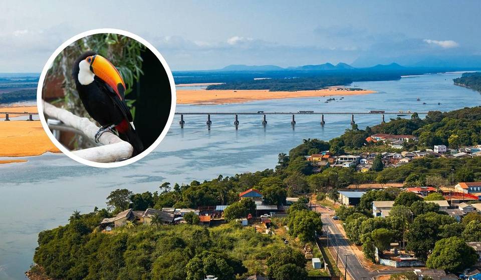 Não é para o exterior: a viagem de avião mais longa do país parte de São Paulo e leva você a um paraíso da natureza por preço de oferta