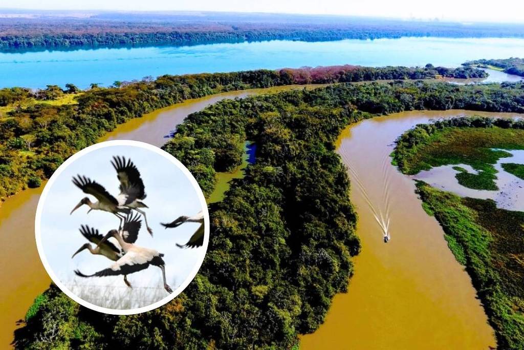 pantanal paulista rio tietê interior são paulo