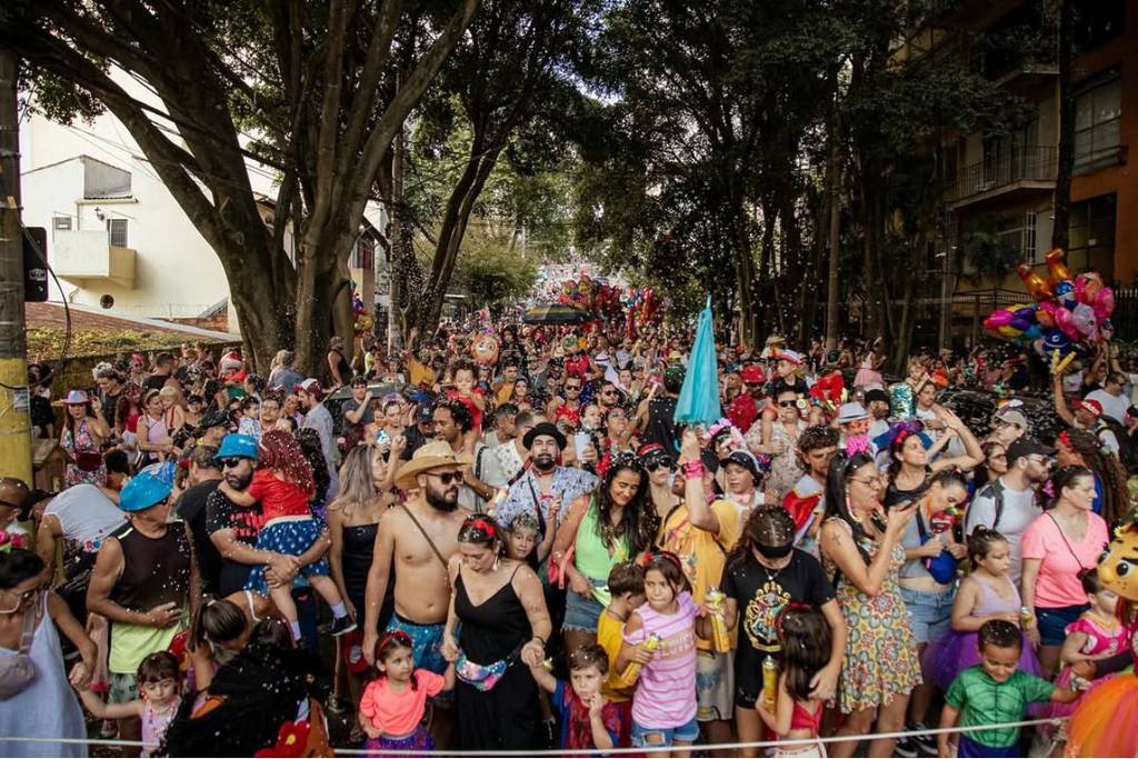 bloquinho de carnaval infantil para crianças são paulo