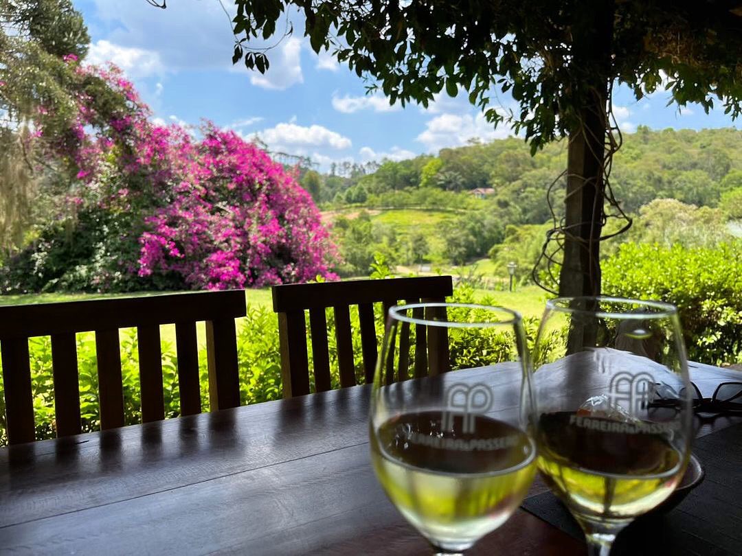 Ferreira & Passero Vinhos vinícola em são roque sp