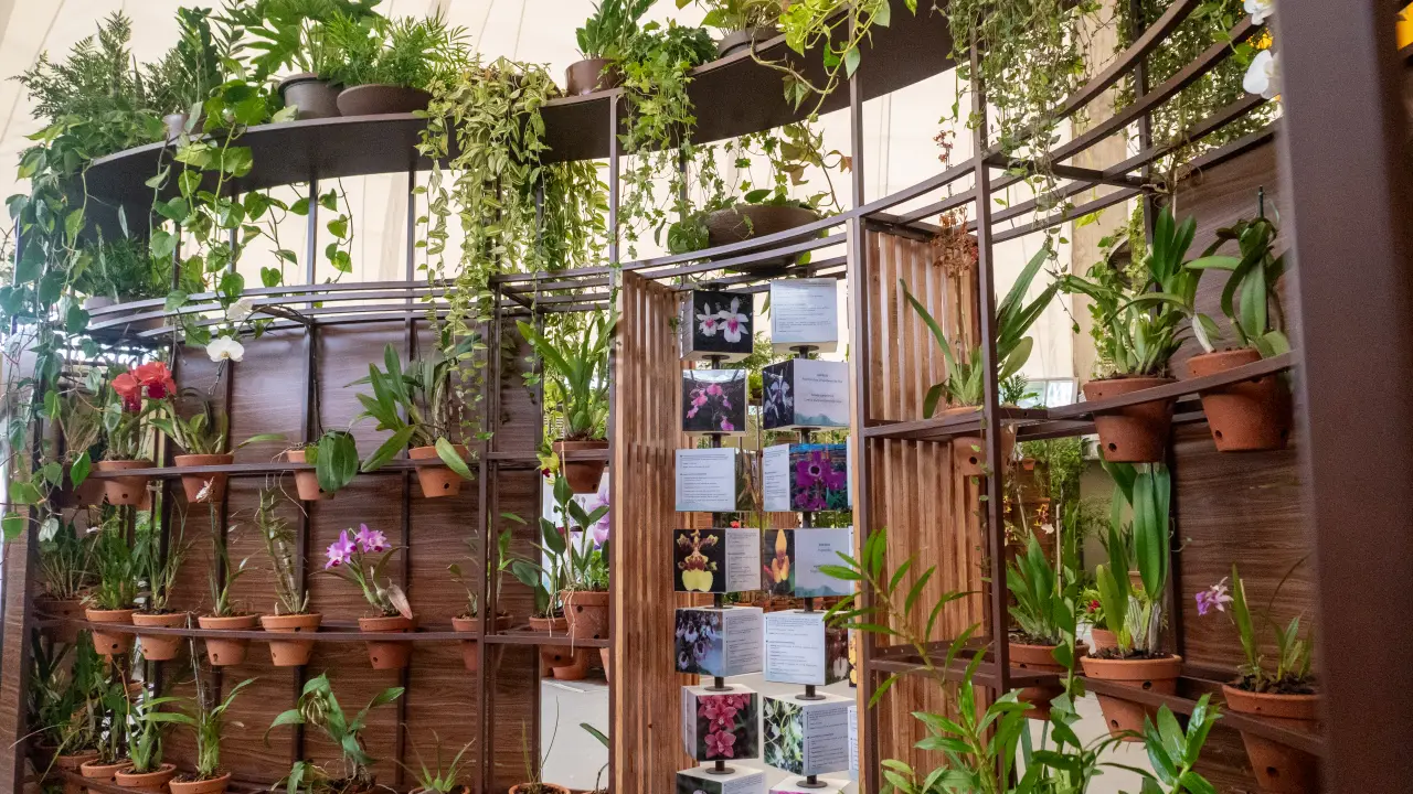 Orquidário roth cardoso Parque Villa-Lobos são paulo