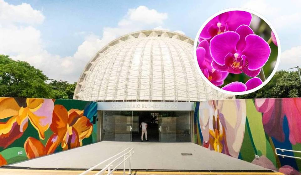El santuario de las orquídeas en São Paulo reabre sus puertas tras 10 años de abandono, y tú puedes visitarlo gratis.