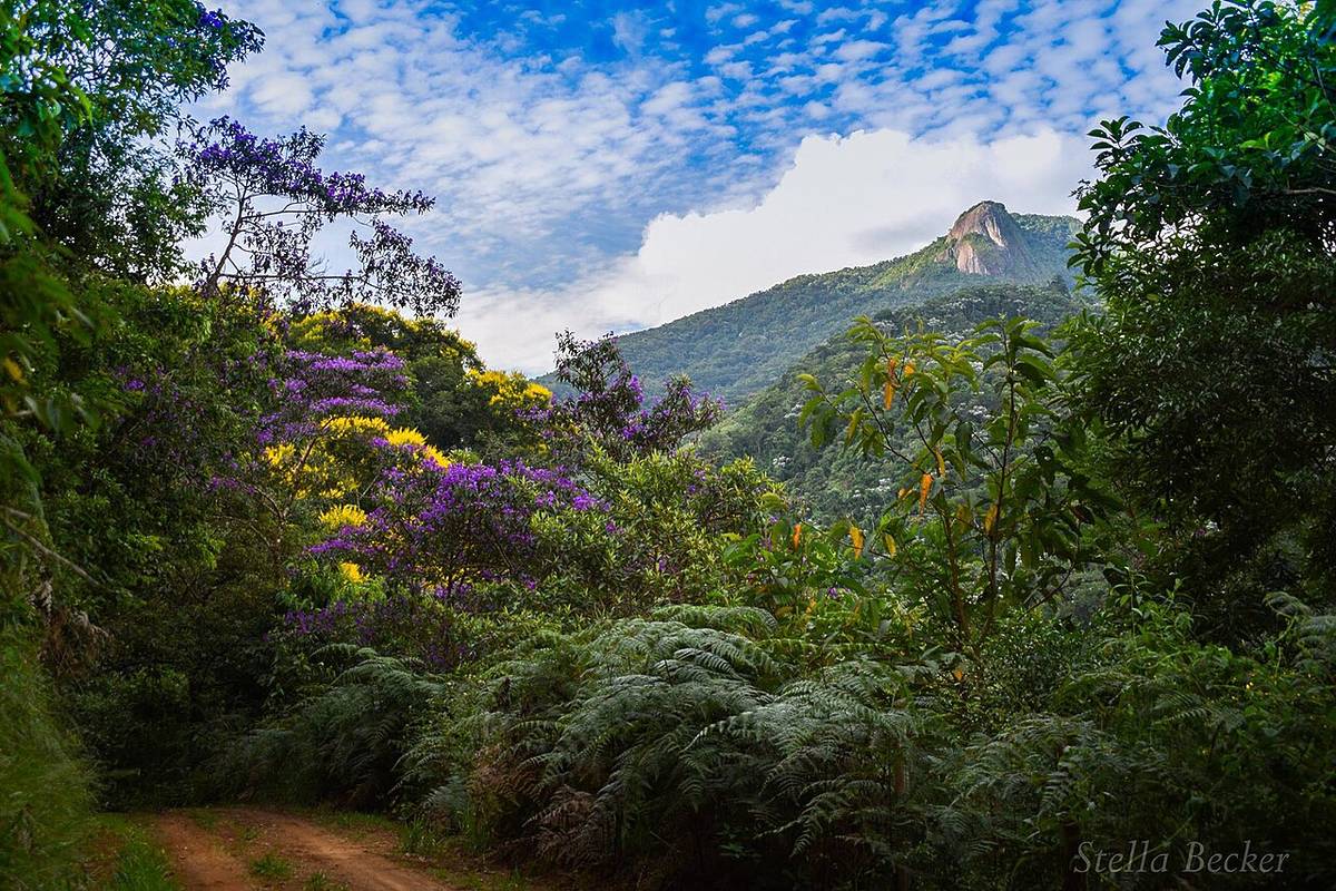 São Francisco Xavier, a "Suíça Brasileira"