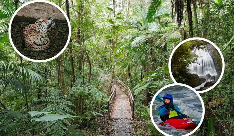 O refúgio de 31 mil hectares a 3h de SP com 7 hidrelétricas, cachoeiras e uma orquídea rara que só existe lá
