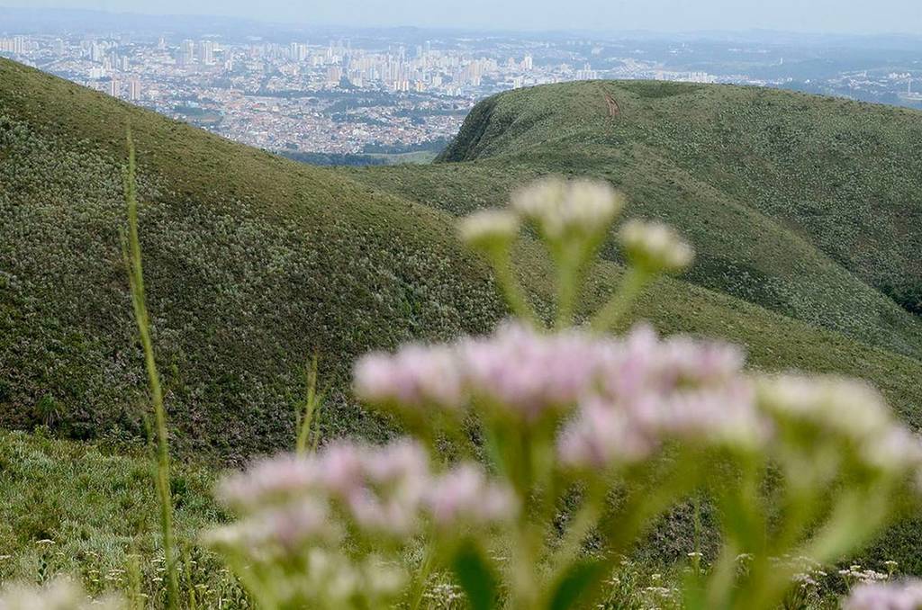 Várzea Paulista, the City of Orchids