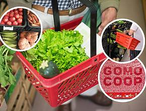 Inspirada en el gigante de Nueva York, la primera cooperativa de consumo de São Paulo abre sus puertas con un enfoque en precios accesibles y sin fines de lucro.