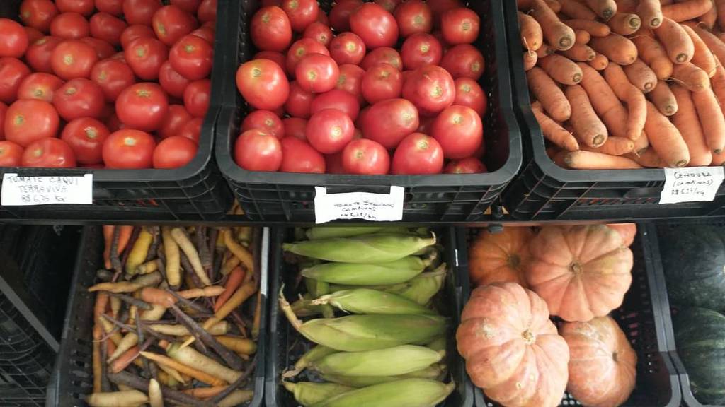Gomo Coop, the cooperative market in São Paulo