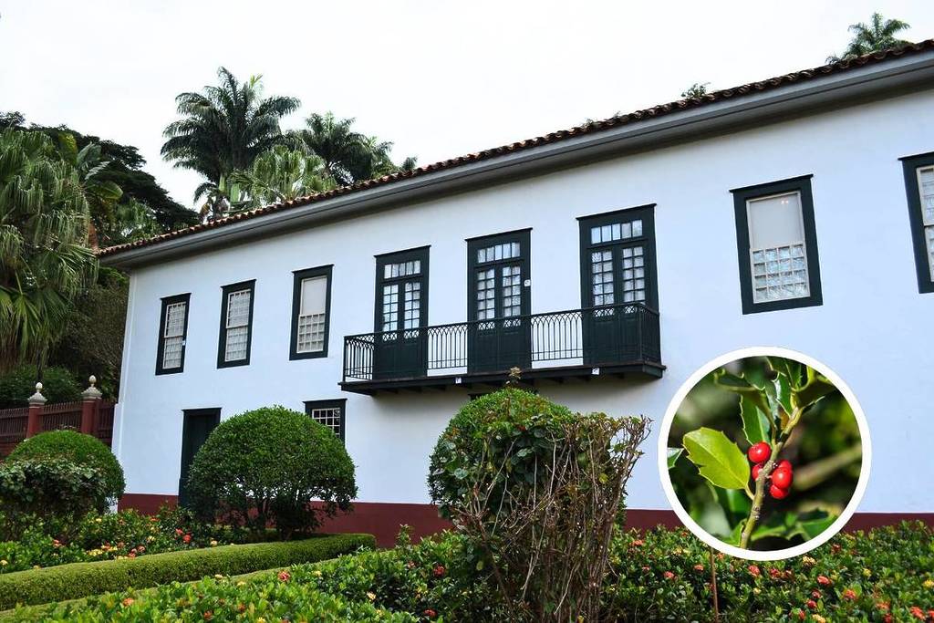 fazenda do pinhal são carlos interior são paulo