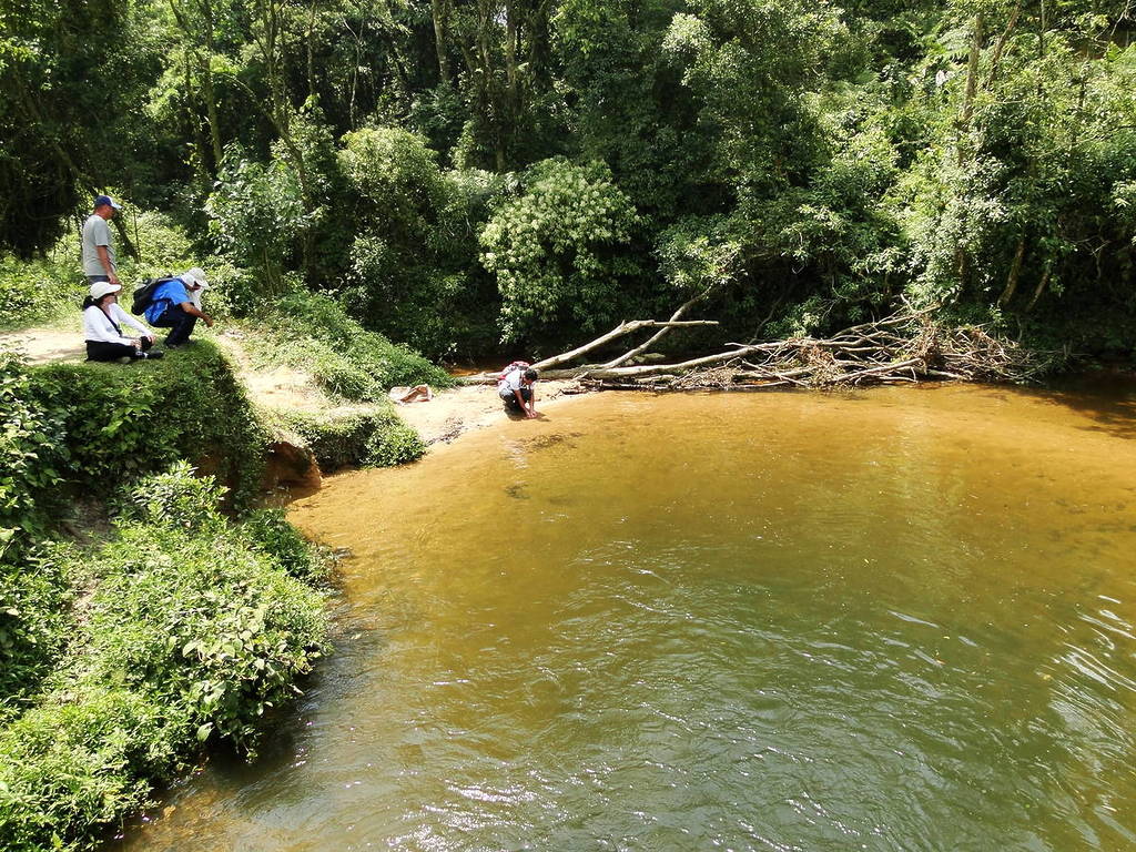 camino del sal sendero en São Paulo naturaleza