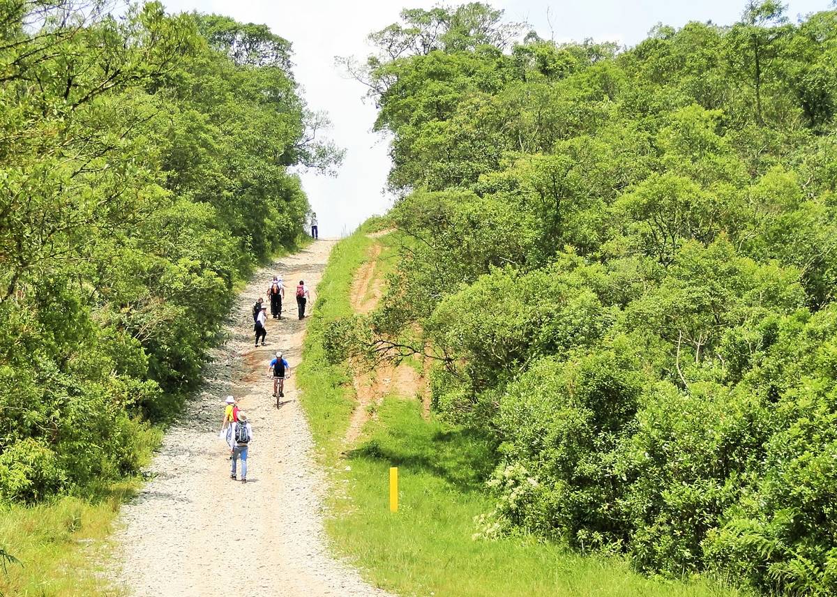 camino del sal sendero en São Paulo naturaleza