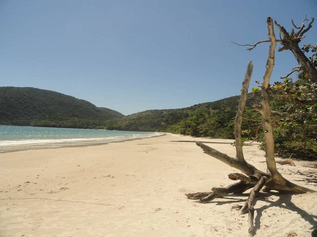 Ilha de Anchieta, Ubatuba, litoral paulista