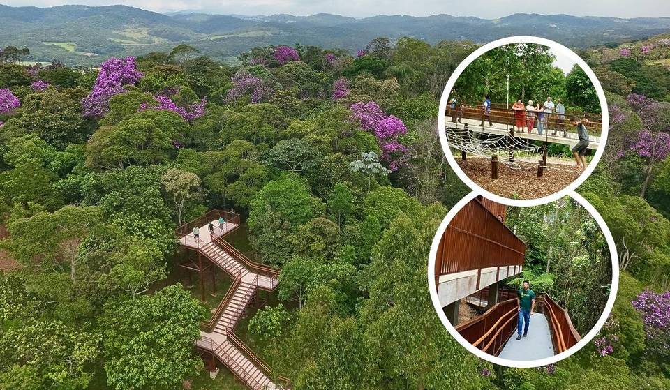 El nuevo «pulmón verde» de la Zona Este: con más de 2 millones de m², el parque con mirador y senderos elevados abre sus puertas en São Paulo.
