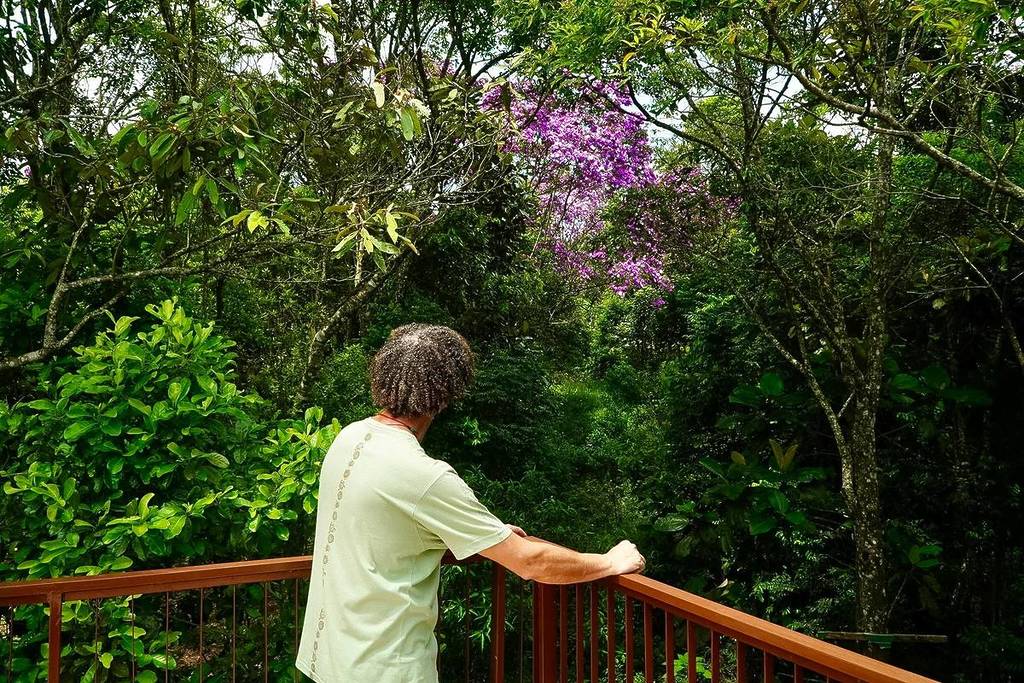 Cabeceiras do Aricanduva Natural Park
