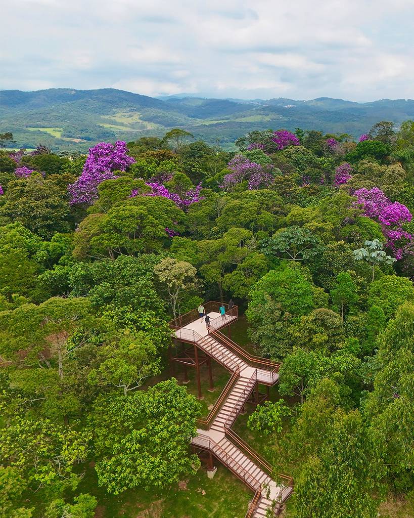 Parque Natural Cabeceiras do Aricanduva: dónde disfrutar de la naturaleza en São Paulo