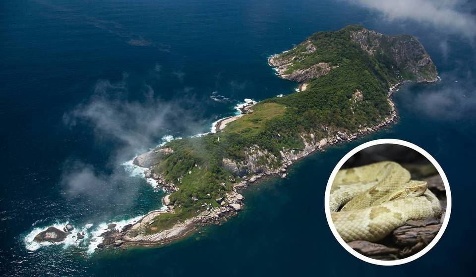 La isla prohibida a 35 km de São Paulo que alberga la segunda mayor densidad de serpientes del mundo