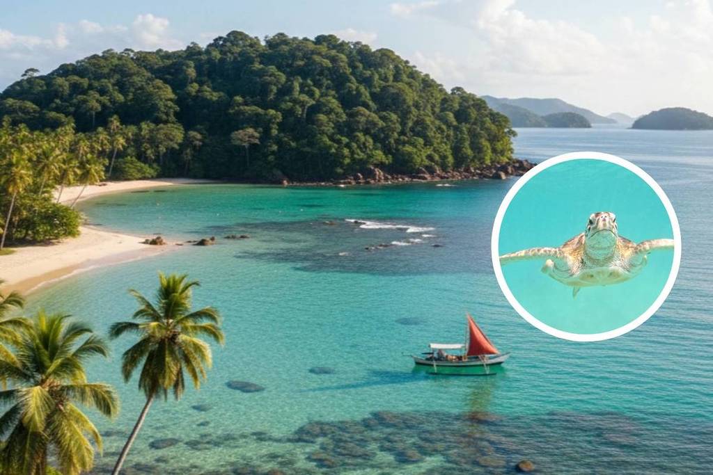 A 6 horas de São Paulo, en Paraty, la Isla de los Cocos es las «Maldivas brasileñas»